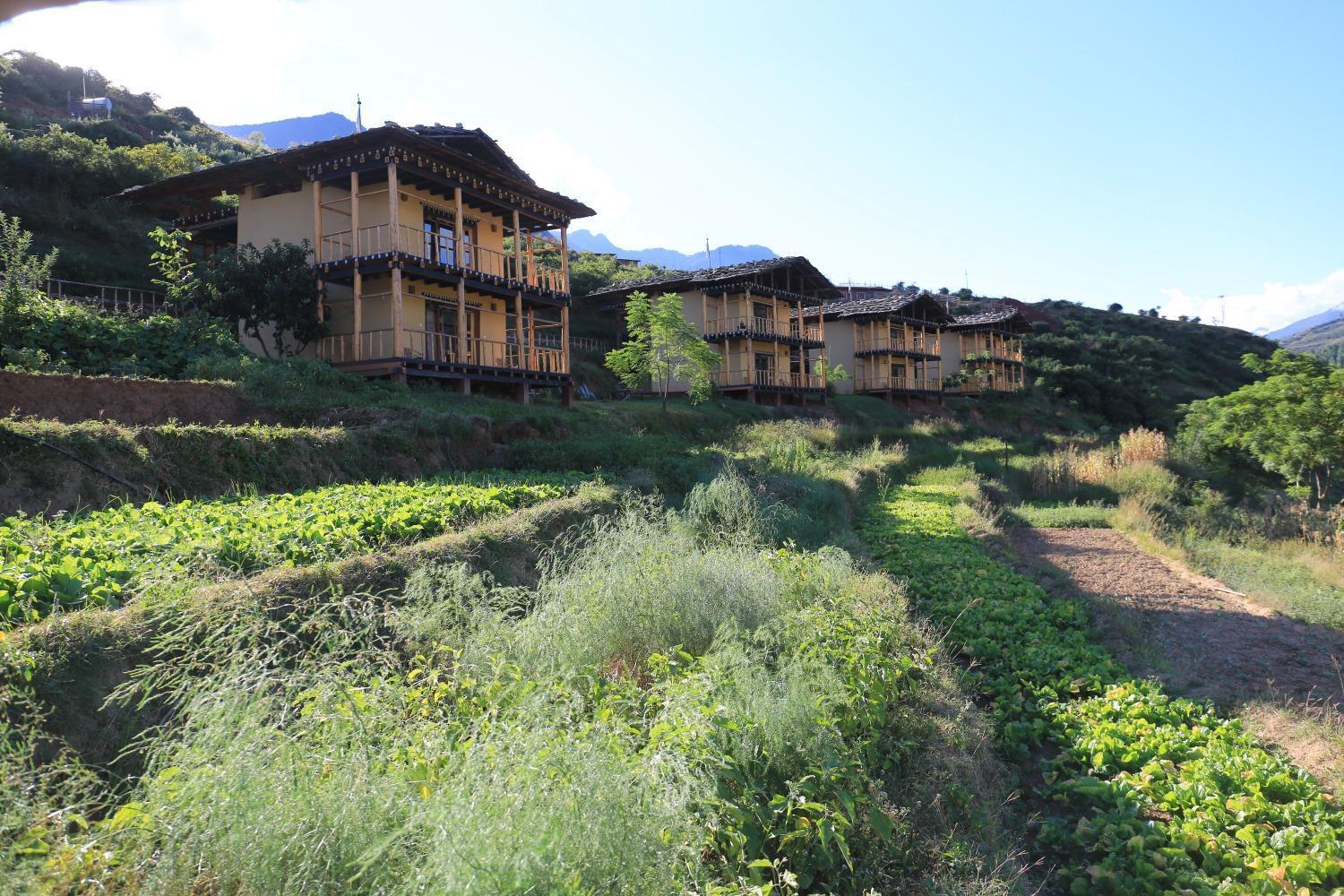 Wangdue Ecolodge Wangdue Phodrang Zewnętrze zdjęcie