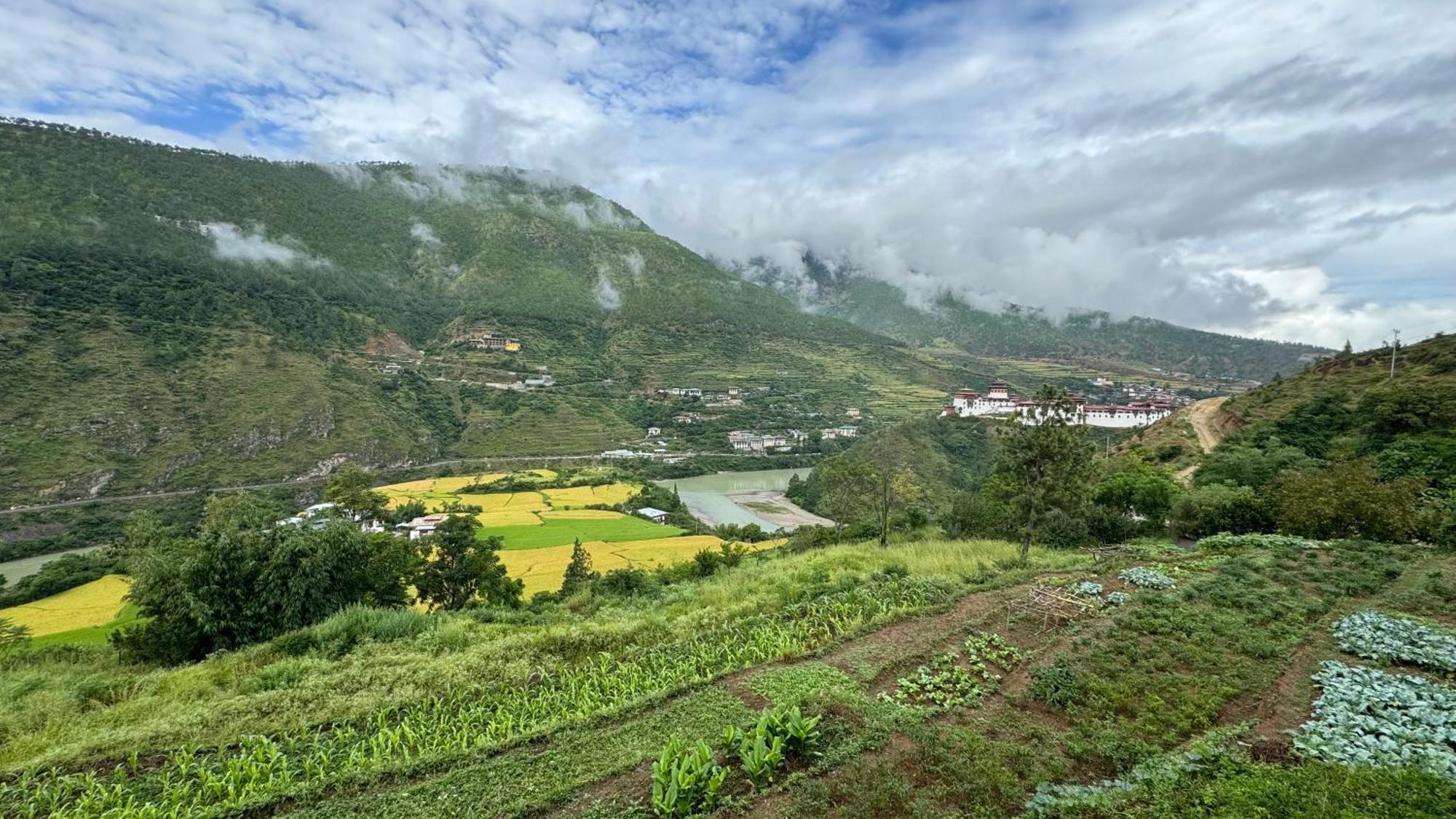 Wangdue Ecolodge Wangdue Phodrang Zewnętrze zdjęcie