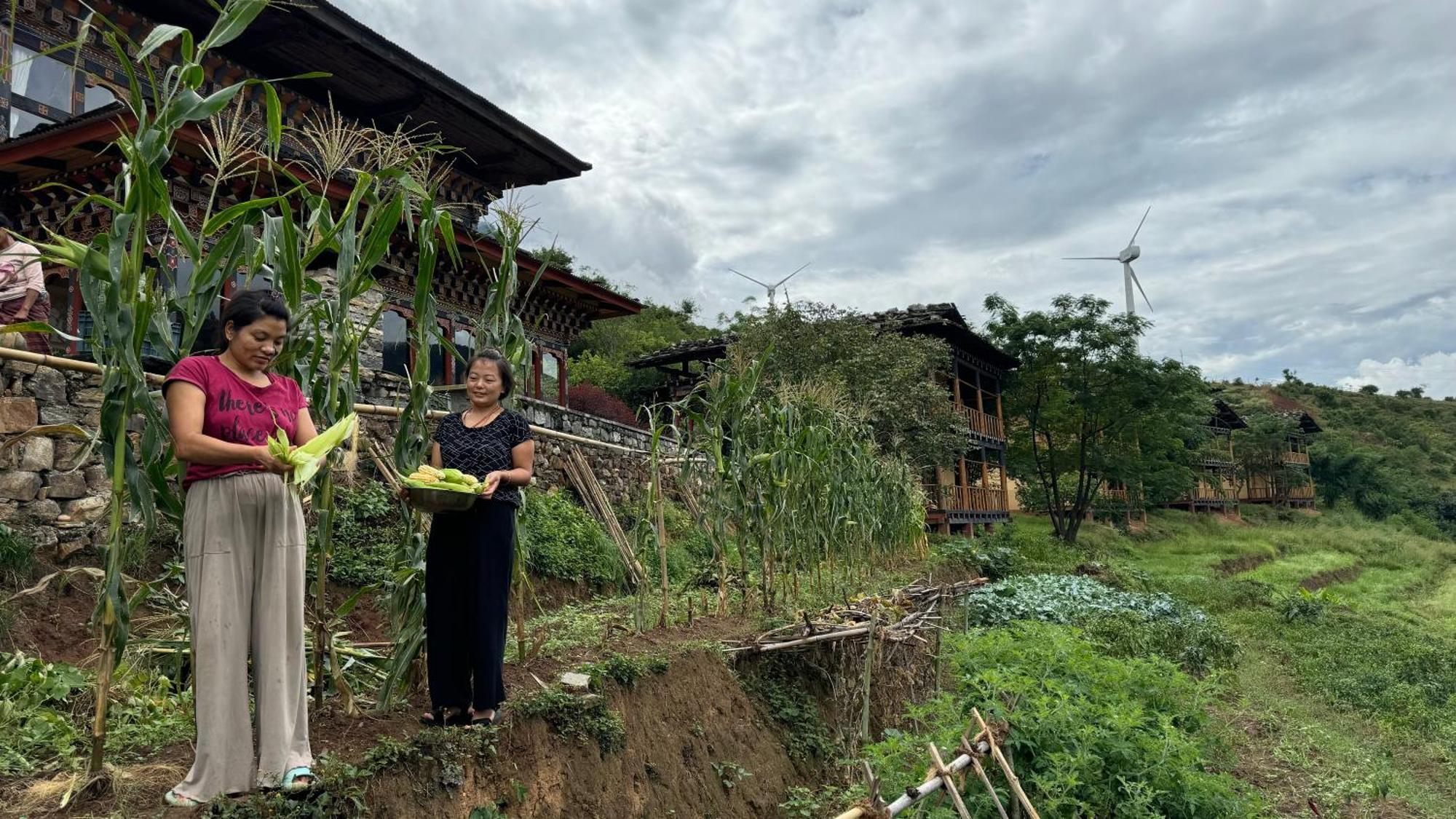 Wangdue Ecolodge Wangdue Phodrang Zewnętrze zdjęcie