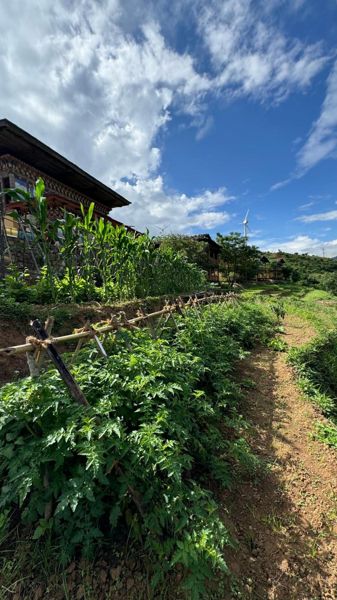 Wangdue Ecolodge Wangdue Phodrang Zewnętrze zdjęcie